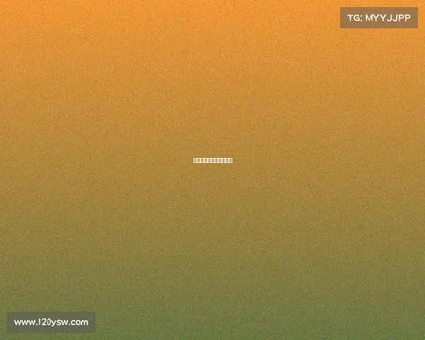 杭州举办的大型体育赛事